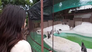 这妹子不错，88斤极品大长美腿高颜值，服务不错穿着内裤舔屌，侧入上位骑坐猛操