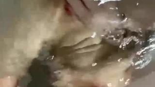 嫂子洗澡，实在忍不住